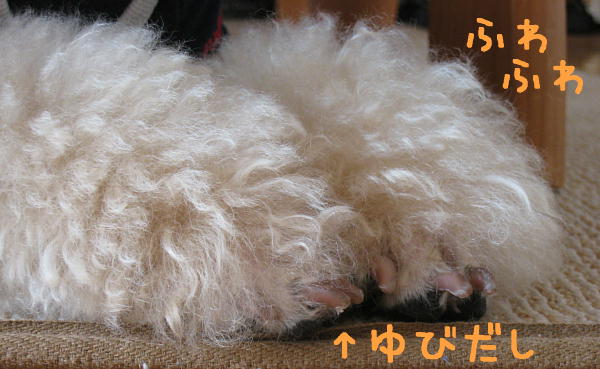 c0060920_1630439.jpg