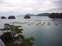 c0133422_116222.jpg