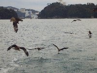 c0133422_1163092.jpg
