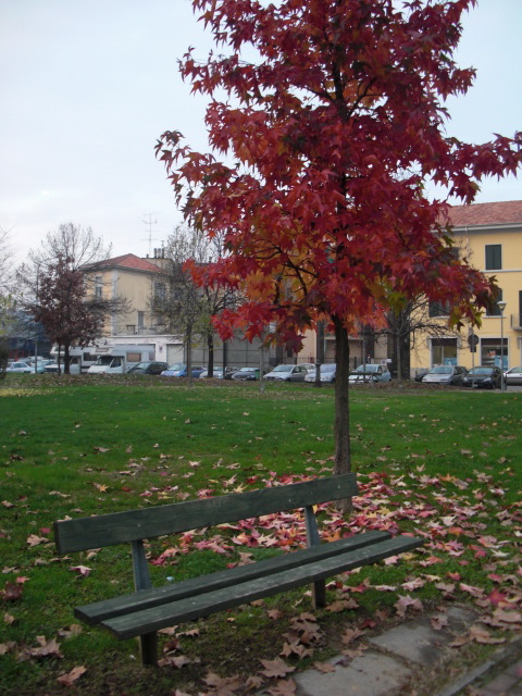 f0173324_19211175.jpg