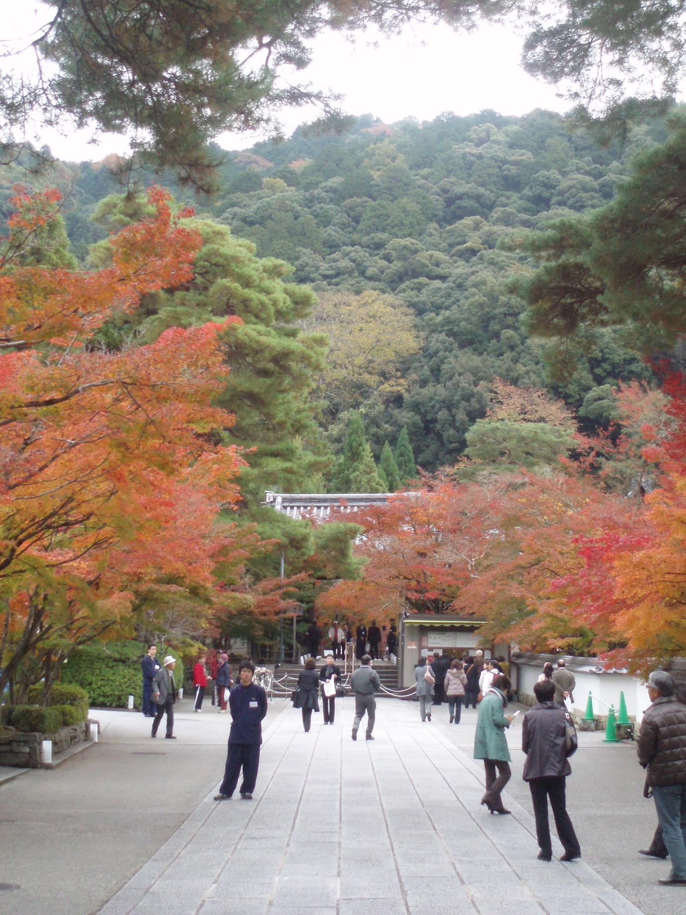 紅葉の永観堂を訪れる☆_f0095325_7283193.jpg