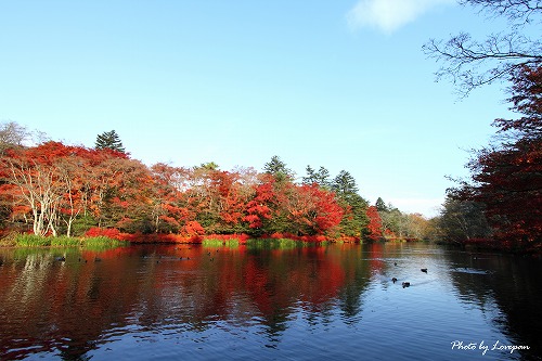 c0136926_21533267.jpg