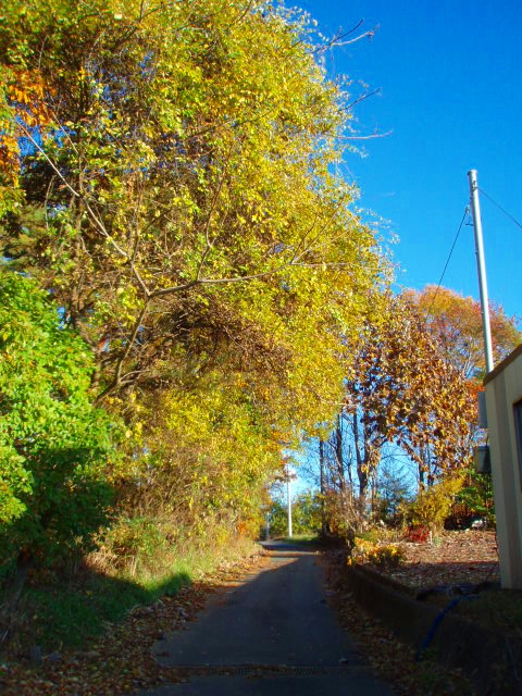 c0153732_044233.jpg