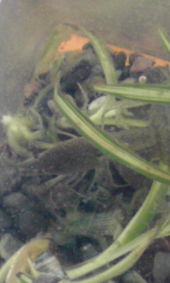f0190545_15572325.jpg