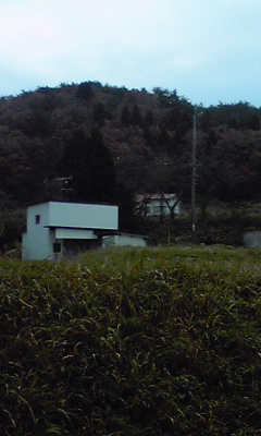 f0190545_15572389.jpg