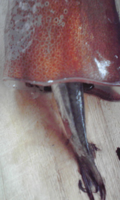 c0179647_12281787.jpg