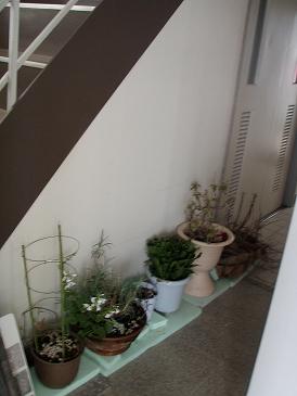b0062748_17231540.jpg