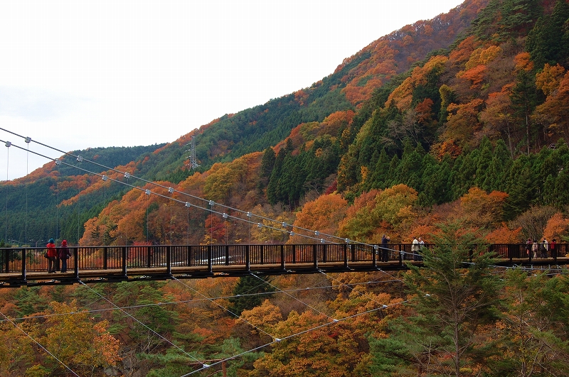 鬼怒楯岩大吊橋_a0138449_025057.jpg