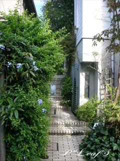 c0176651_2343472.gif