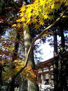 e0083559_174258.jpg