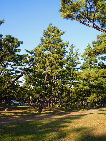 大阪･浜寺公園『福栄堂』の松露だんご。_e0067563_153577.jpg