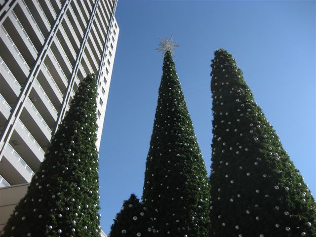 a0123465_23381965.jpg