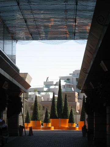 a0123465_23523647.jpg