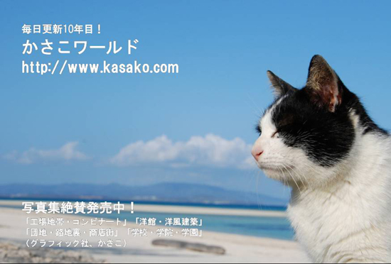 年賀状欲しい方、送ります！_e0171573_0422134.jpg