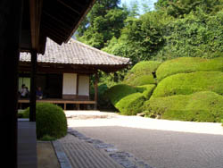 頼久寺-遠州のニワ_c0175075_23214381.jpg