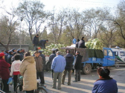 f0007580_23155743.jpg