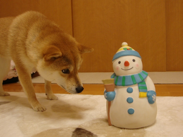 失ったやる気は・・・_a0126590_233885.jpg