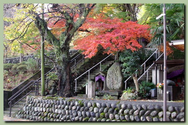 桜橋～大桑～犀川緑地～神明宮_f0079990_92131.jpg