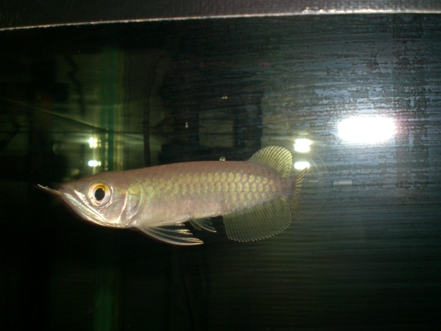 e0143096_13462616.jpg