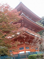 ２００９清水山紅葉まつり（みやま市瀬高町の名所）・千寿の楽しい歴史_a0137997_16371830.jpg