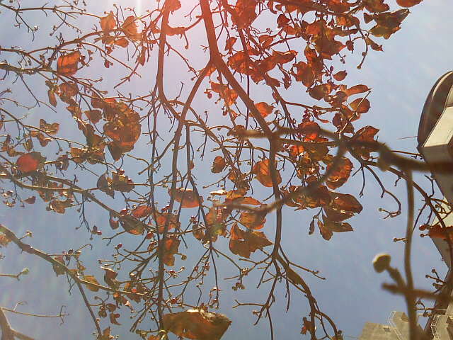 c0037701_23134484.jpg