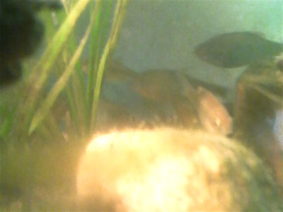 f0082402_15464688.jpg