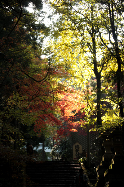 パワースポット☆大雄山最乗寺で紅葉狩りぉ散歩！_c0011204_183991.jpg