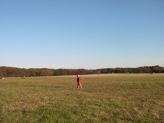f0038407_23164866.jpg