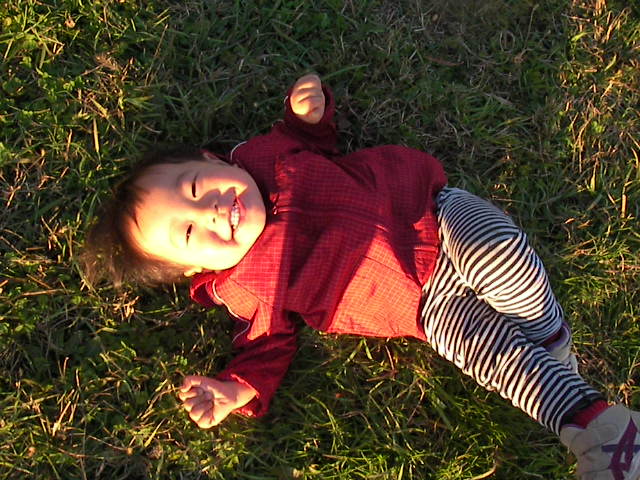 f0038407_23172924.jpg