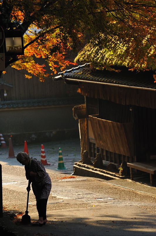 2009・京都の紅葉 嵯峨鳥居本_f0032011_1972450.jpg