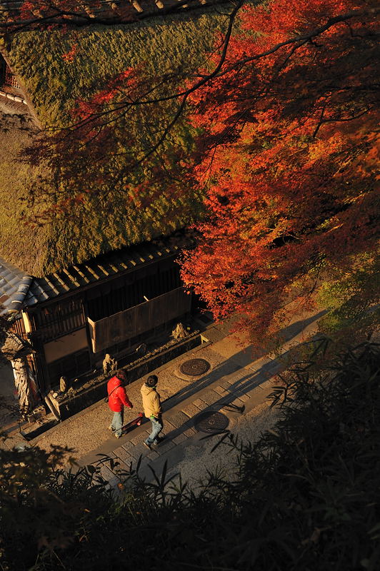 2009・京都の紅葉 嵯峨鳥居本_f0032011_1982985.jpg