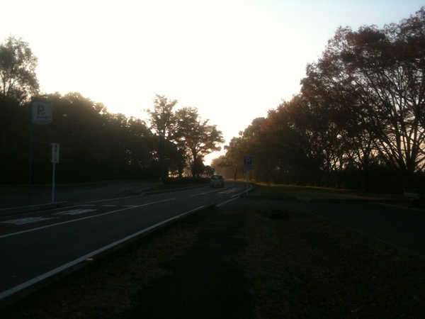 f0178412_1023998.jpg