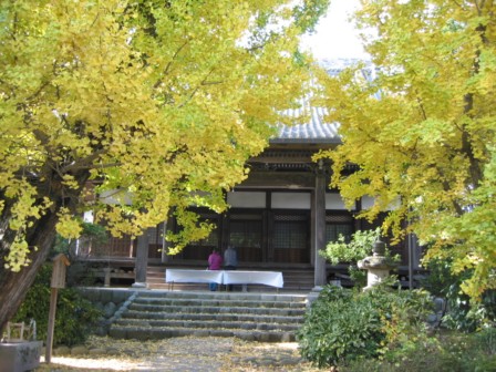 「黄葉まつり」_a0120513_18251240.jpg