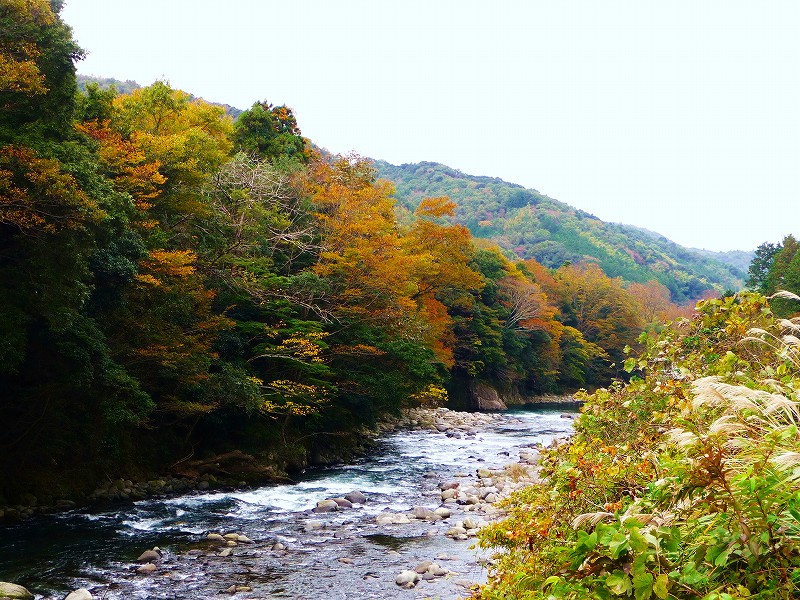 f0182513_1118346.jpg