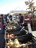 秋のFarmer\'s Market_b0180714_13461874.jpg