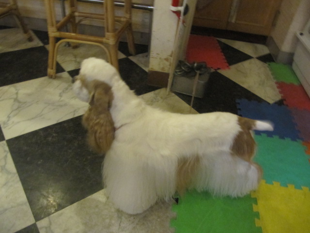 c0200916_03067.jpg