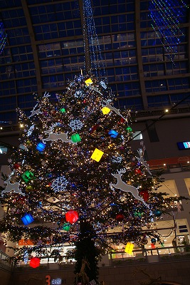 f0170524_881313.jpg