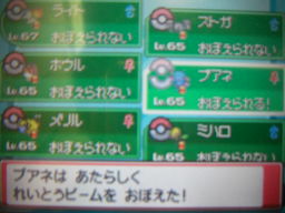 ポケットモンスターハートゴールドプレイ日記 四天王戦 つきねこの日記