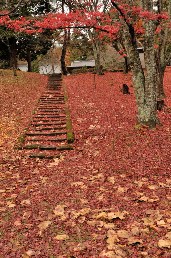 土津神社_e0037126_23223625.jpg