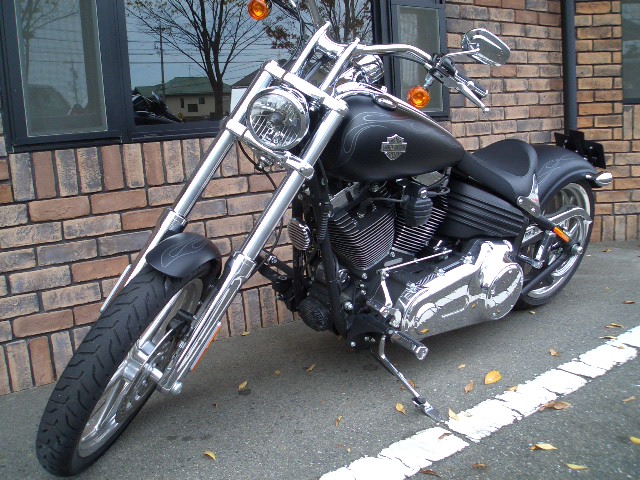 a0099129_1641036.jpg