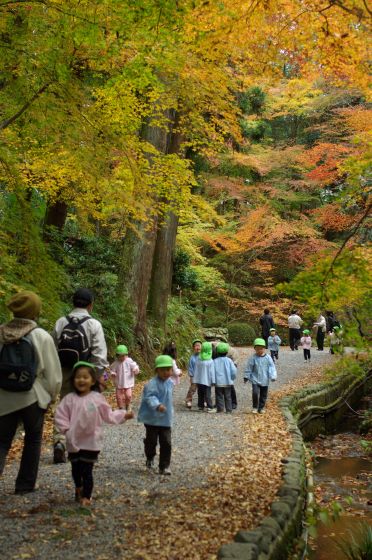 大津　石山寺の紅葉-2_a0031741_14533036.jpg