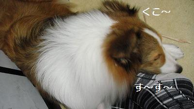 足まくら_e0195743_20292713.jpg