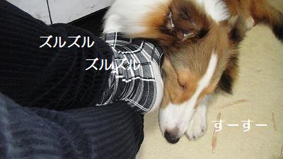 足まくら_e0195743_20295827.jpg