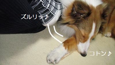 足まくら_e0195743_20301167.jpg