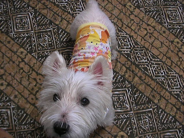 f0034444_23533832.jpg