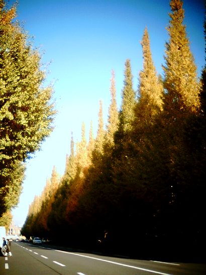 e0028650_2214443.jpg