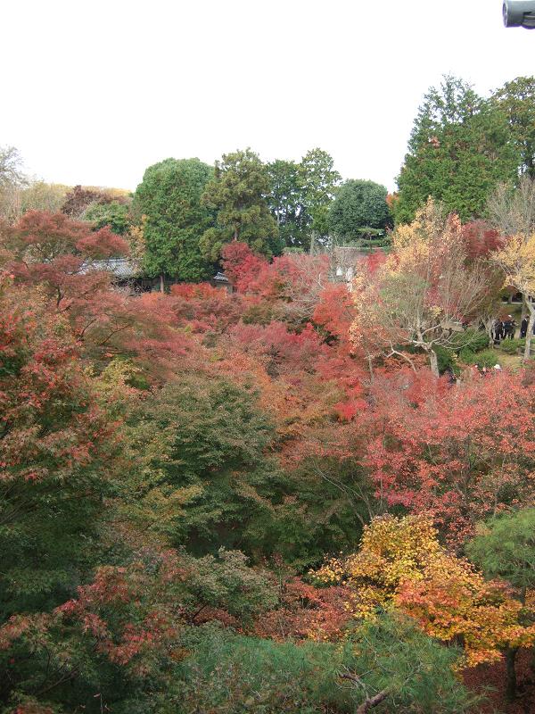 e0149256_2225552.jpg