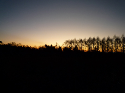 b0045357_8274741.jpg