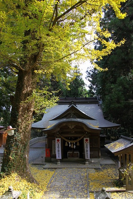 下り宮　草部吉見神社　　高森町_b0123359_16132241.jpg