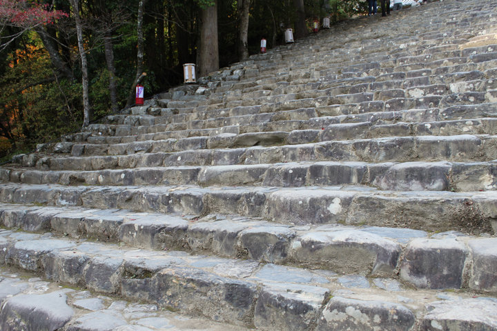 c0178561_22563546.jpg